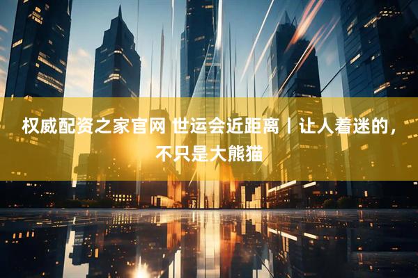 权威配资之家官网 世运会近距离丨让人着迷的，不只是大熊猫
