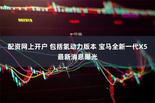配资网上开户 包括氢动力版本 宝马全新一代X5最新消息曝光