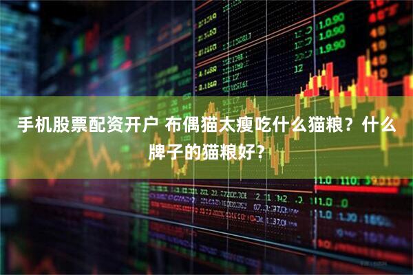 手机股票配资开户 布偶猫太瘦吃什么猫粮？什么牌子的猫粮好？